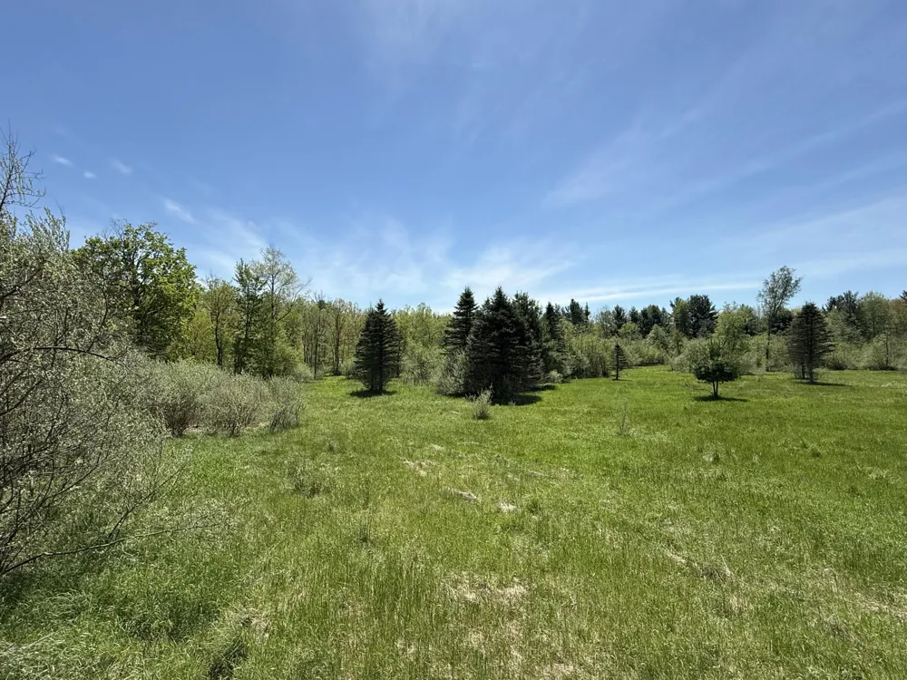 McBride Road NW Stanton, MI 48888