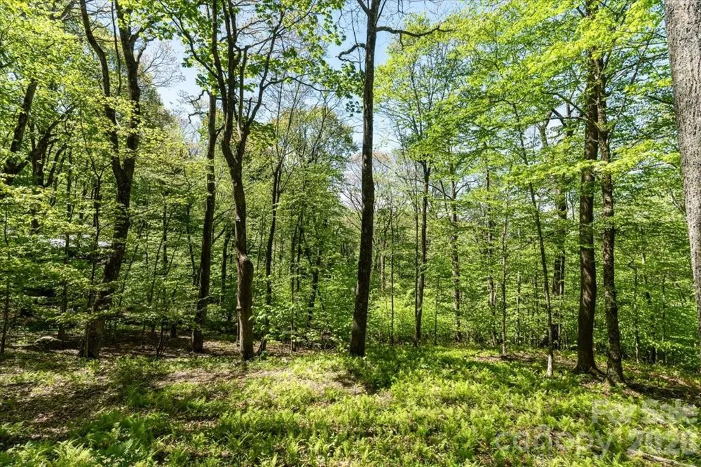 524 McDaris Loop Drive #179/180 Mars Hill, NC 28754