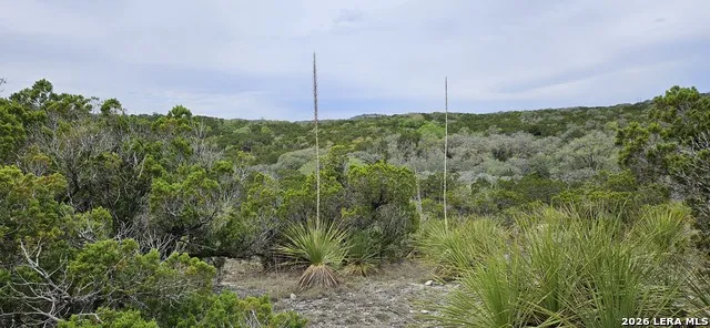 21207 Scenic Loop Helotes, TX 78023