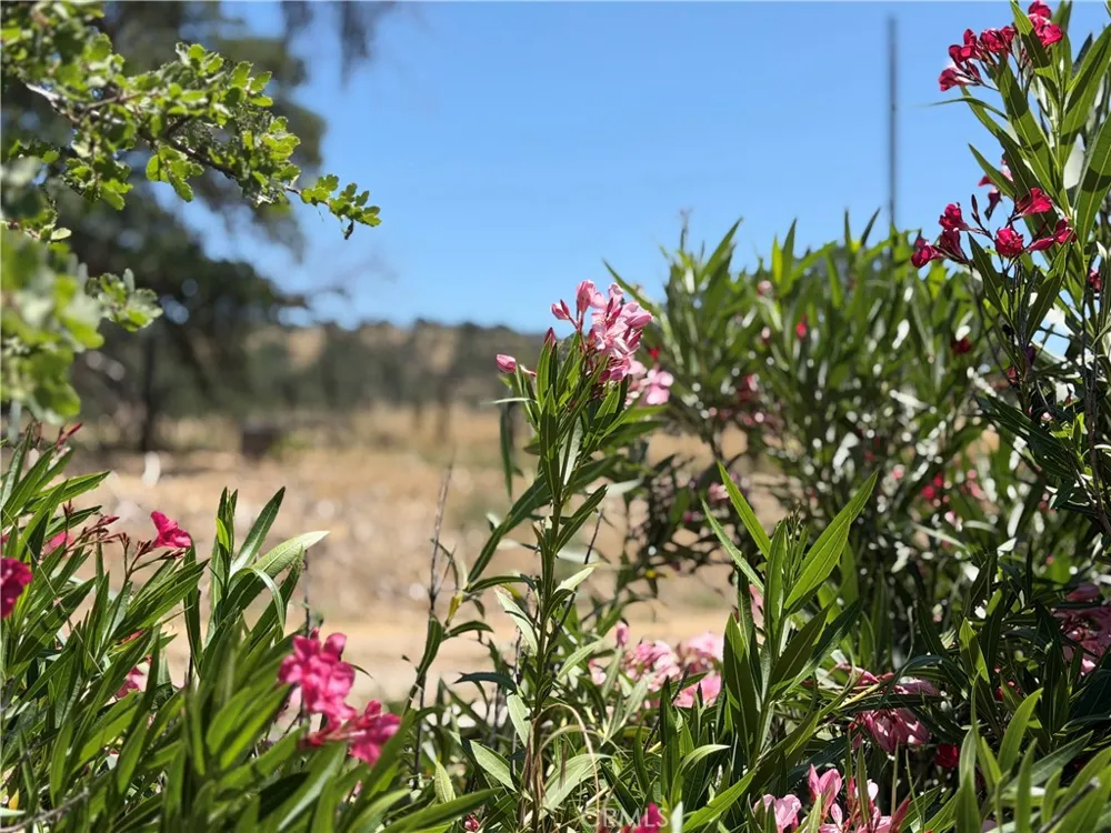 2099 Old Hwy Catheys Valley, CA 95306