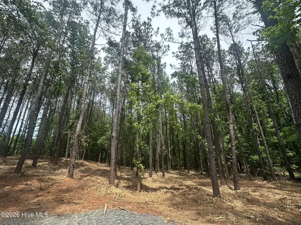 Lot E Ridge Road Appling, GA 30802