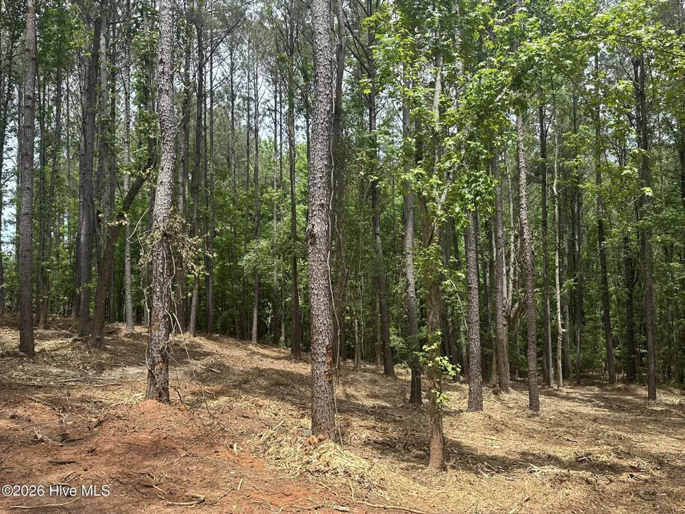 Lot E Ridge Road Appling, GA 30802