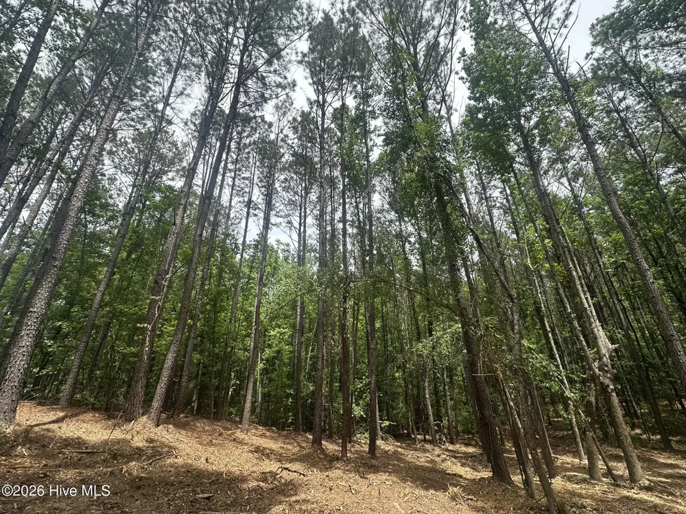 Lot E Ridge Road Appling, GA 30802