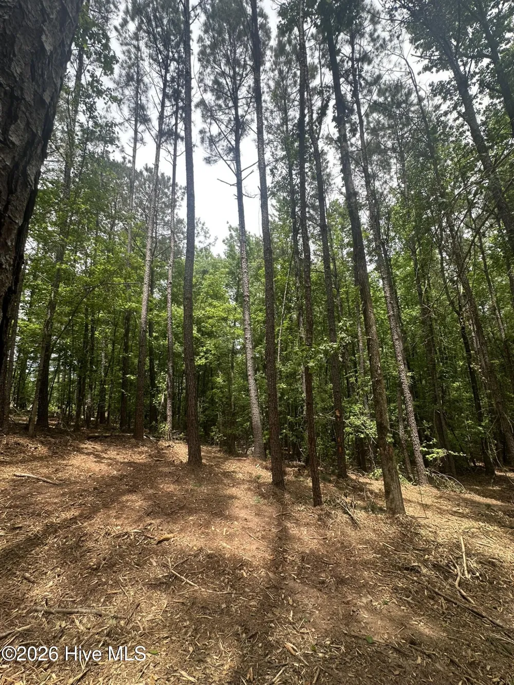 Lot E Ridge Road Appling, GA 30802
