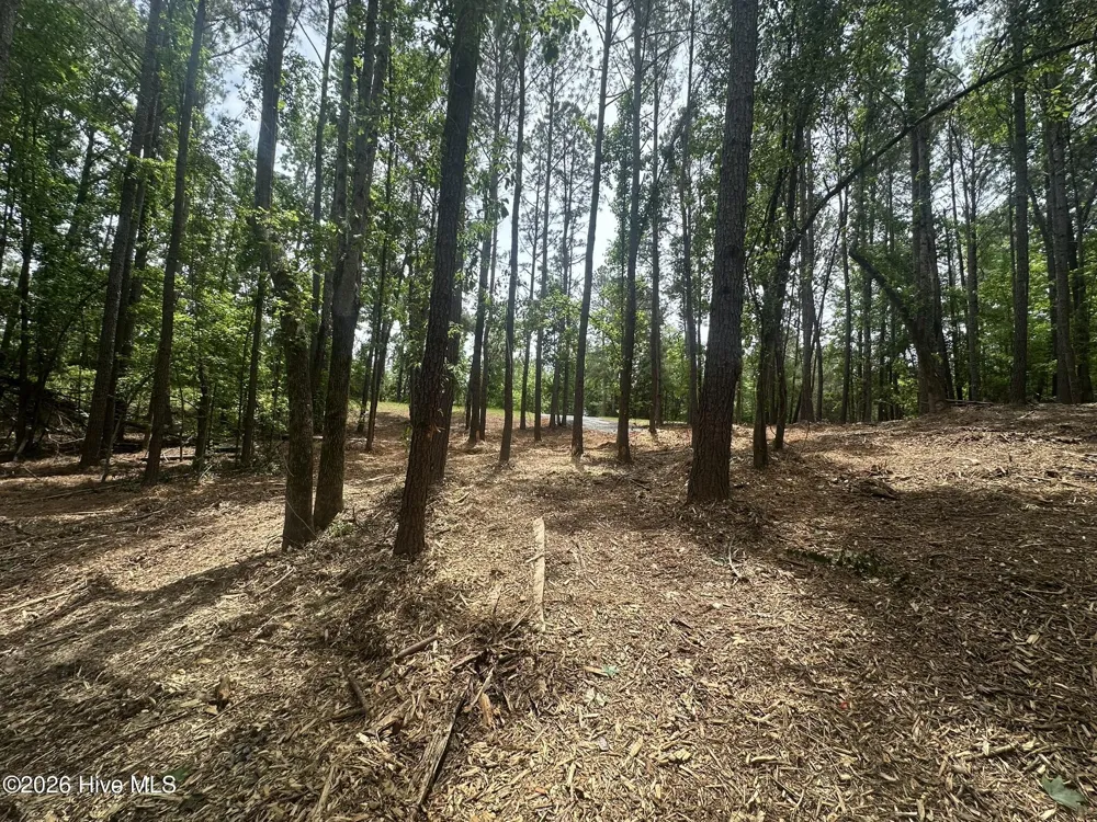 Lot E Ridge Road Appling, GA 30802