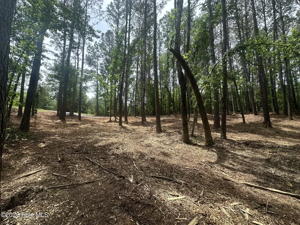 Lot E Ridge Road Appling, GA 30802