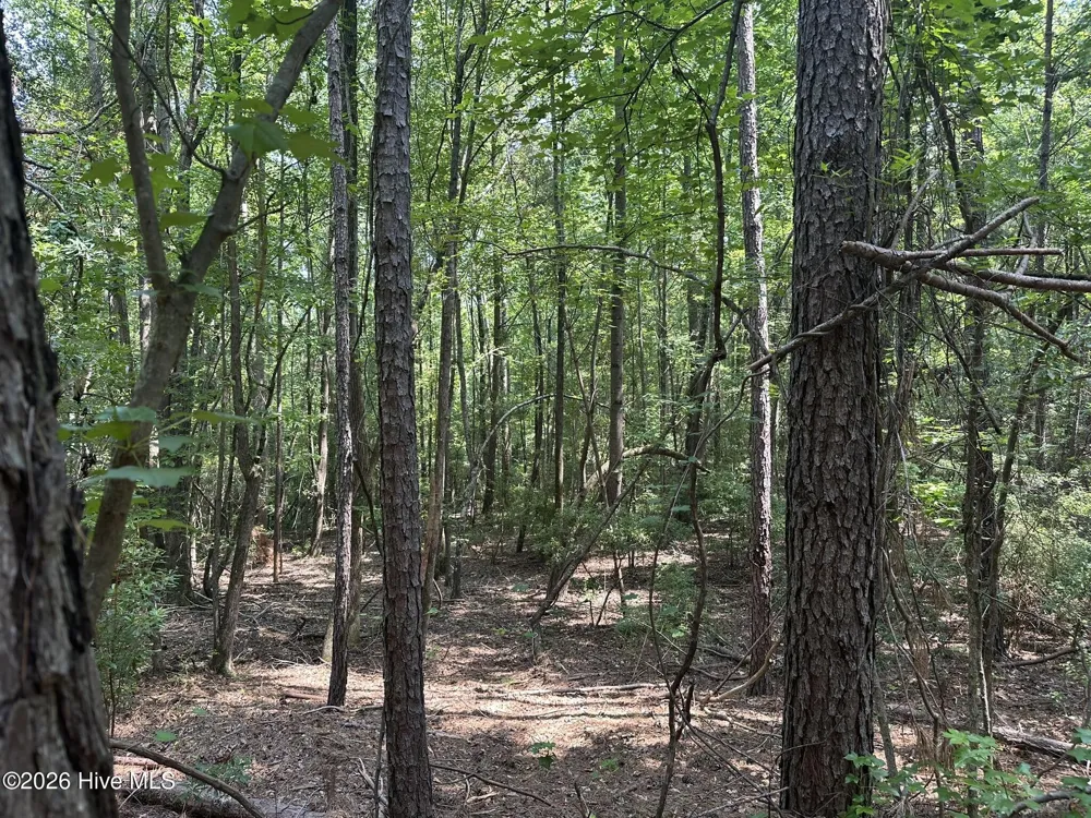 Lot E Ridge Road Appling, GA 30802