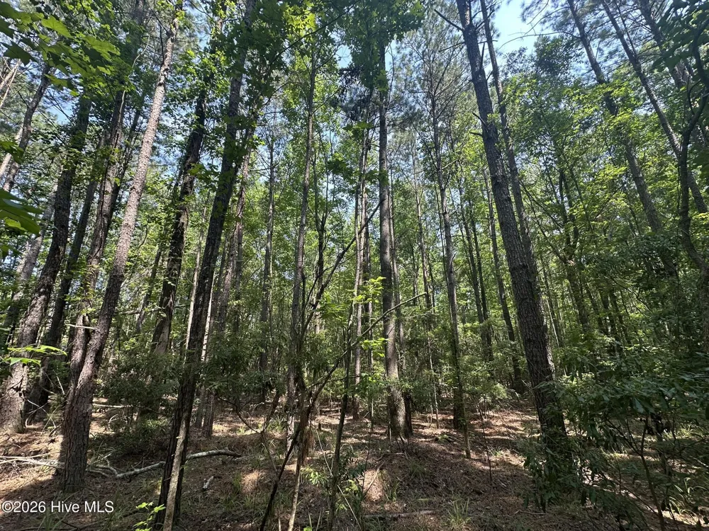 Lot E Ridge Road Appling, GA 30802