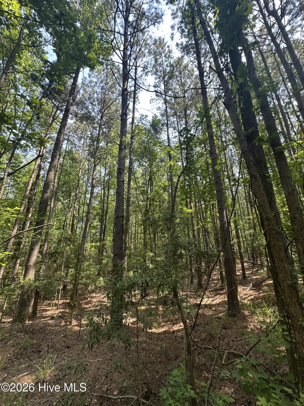 Lot E Ridge Road Appling, GA 30802