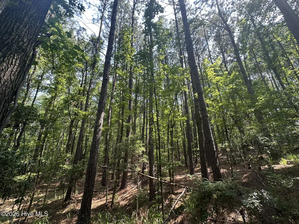 Lot E Ridge Road Appling, GA 30802