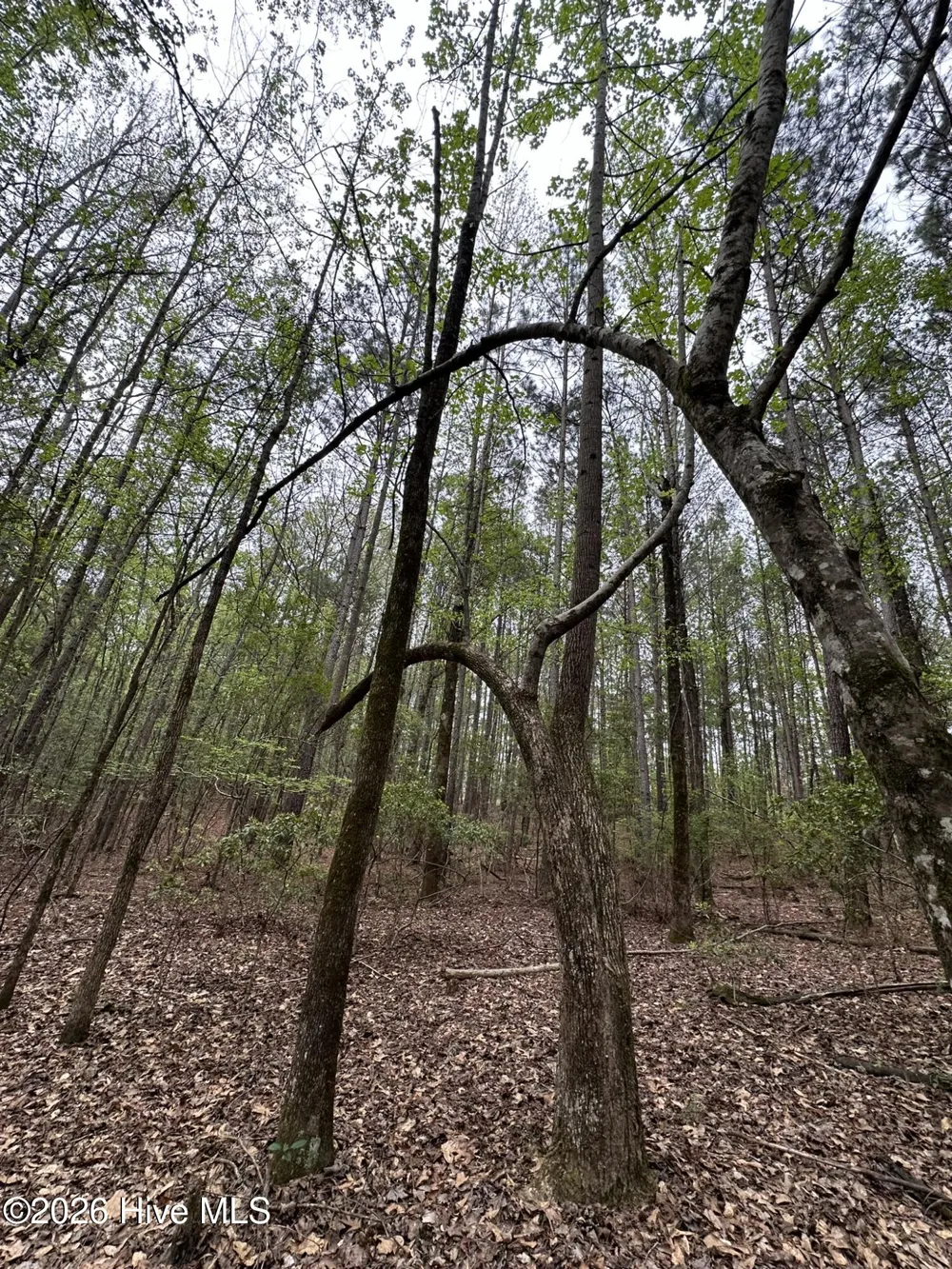 Lot E Ridge Road Appling, GA 30802