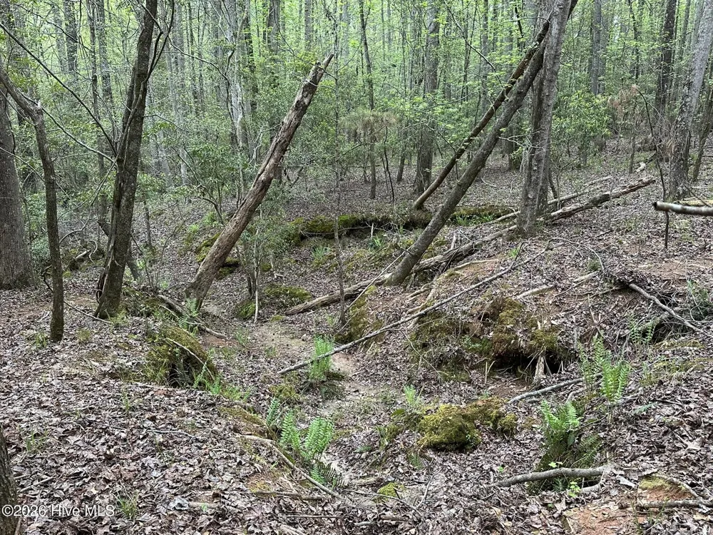 Lot E Ridge Road Appling, GA 30802