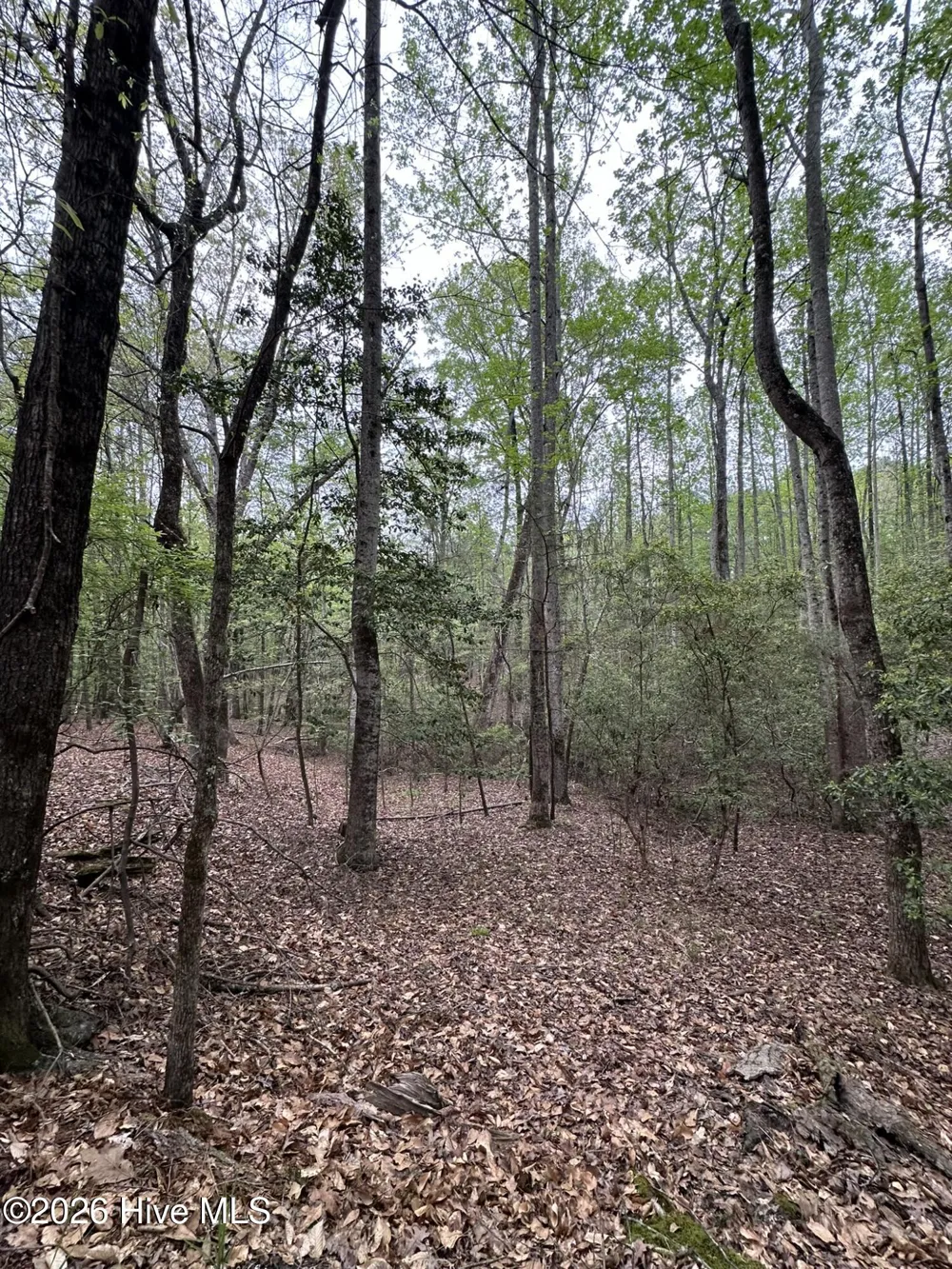 Lot E Ridge Road Appling, GA 30802