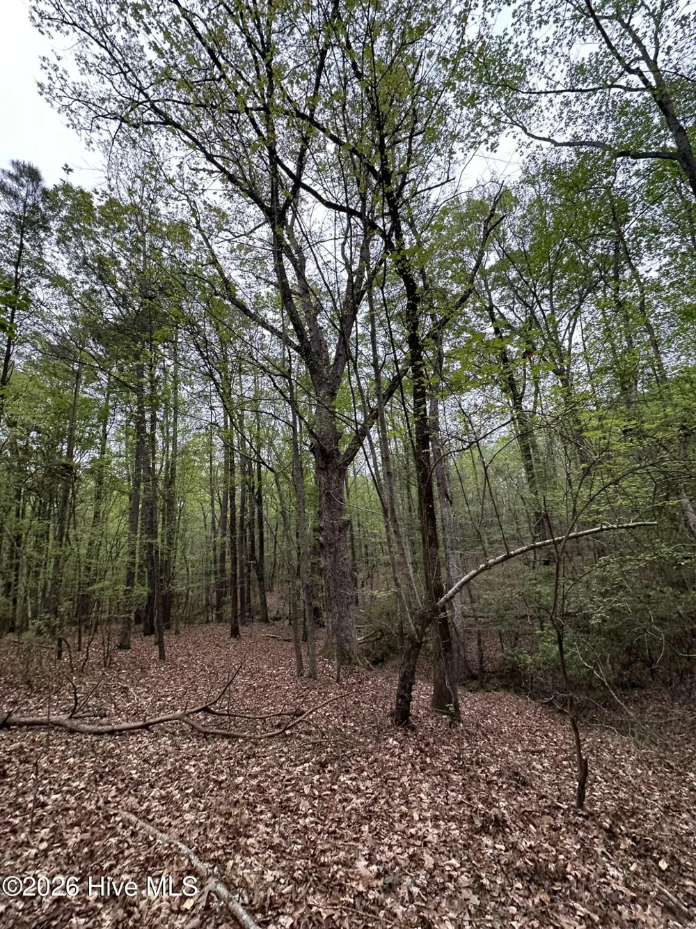 Lot E Ridge Road Appling, GA 30802