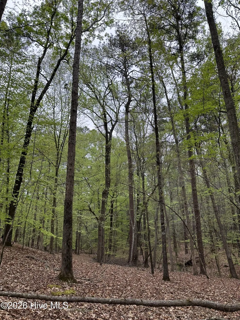 Lot E Ridge Road Appling, GA 30802
