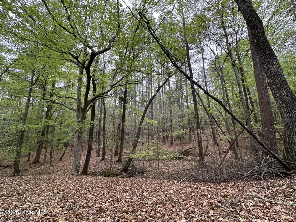 Lot E Ridge Road Appling, GA 30802