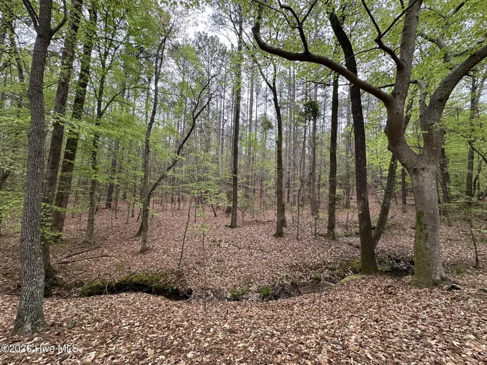 Lot E Ridge Road Appling, GA 30802