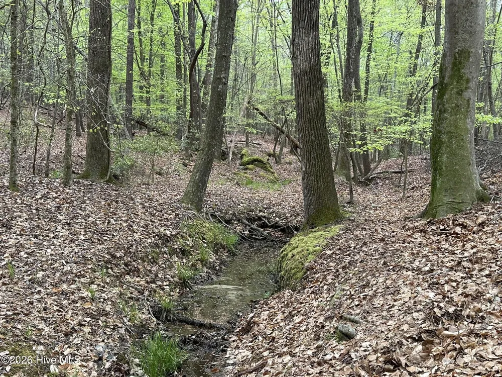 Lot E Ridge Road Appling, GA 30802