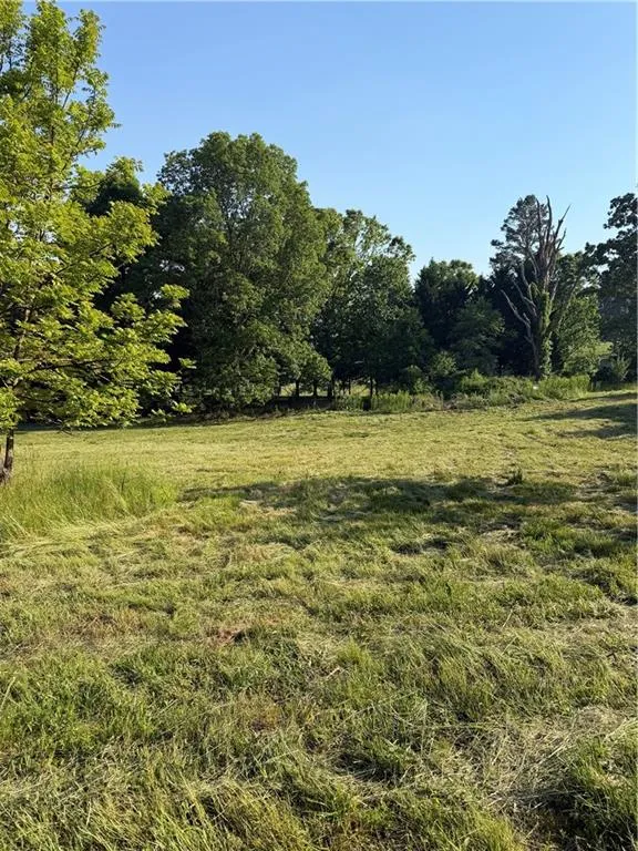 0 Mountain Road Morganton, GA 30560