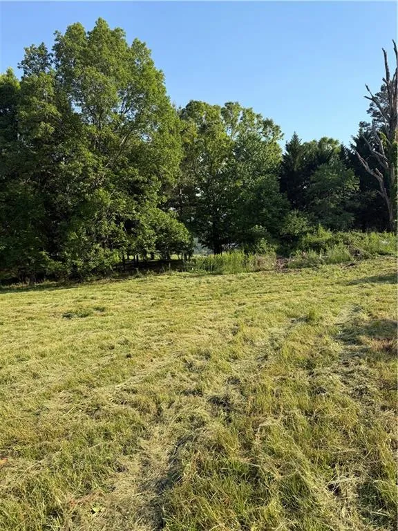 0 Mountain Road Morganton, GA 30560