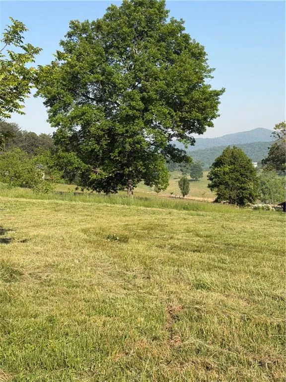 0 Mountain Road Morganton, GA 30560