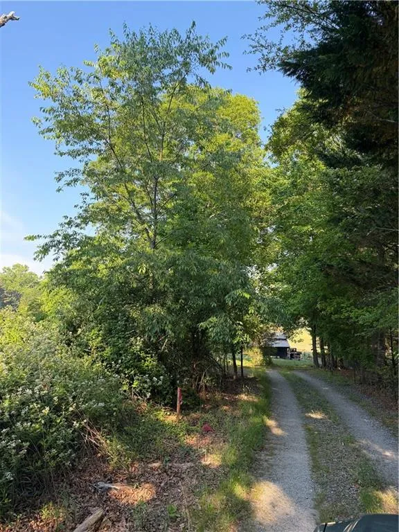 0 Mountain Road Morganton, GA 30560