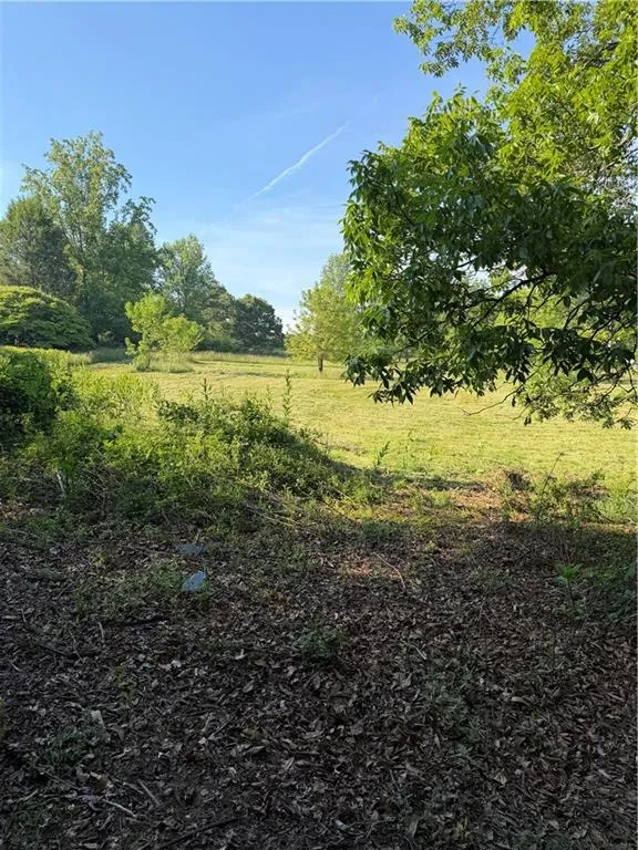 0 Mountain Road Morganton, GA 30560