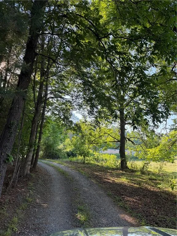 0 Mountain Road Morganton, GA 30560