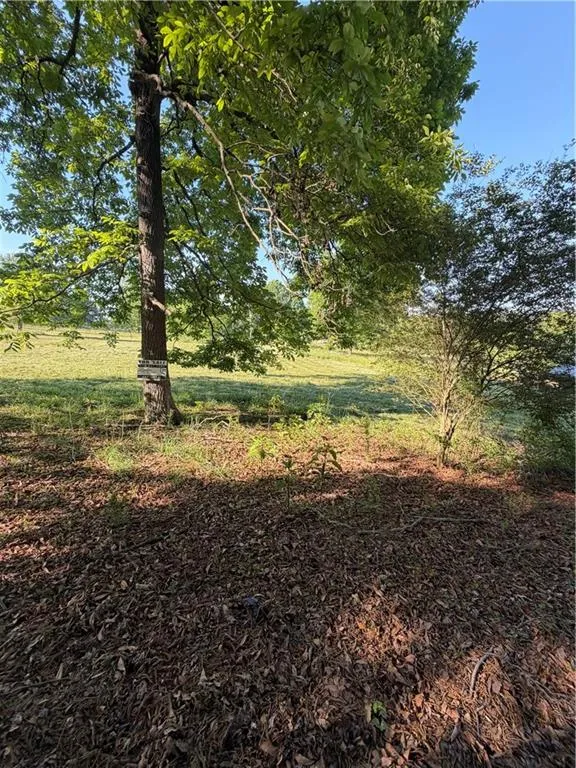 0 Mountain Road Morganton, GA 30560