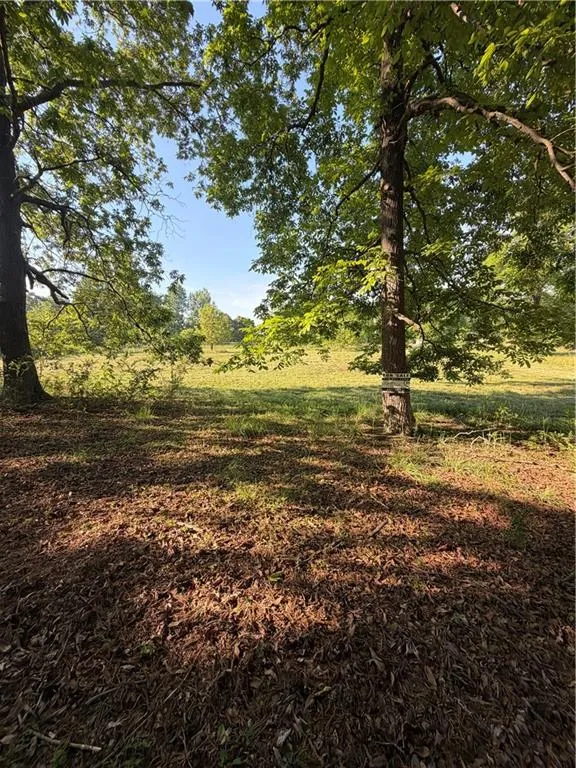 0 Mountain Road Morganton, GA 30560
