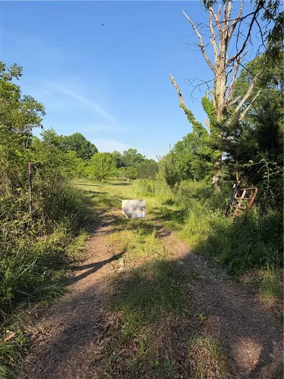 0 Mountain Road Morganton, GA 30560