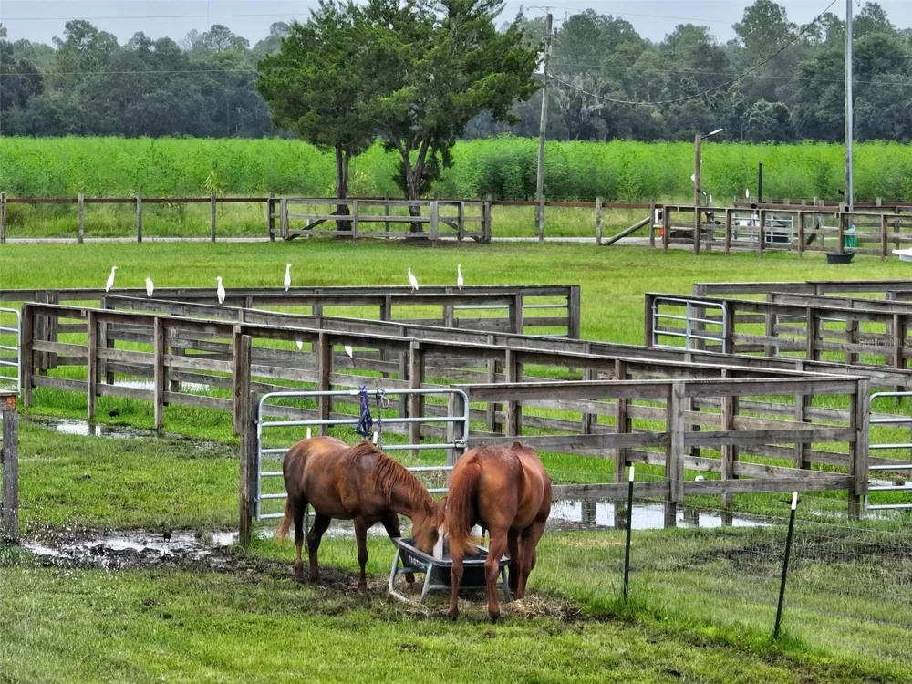 596 E COUNTY ROAD 90 Bunnell, FL 32110