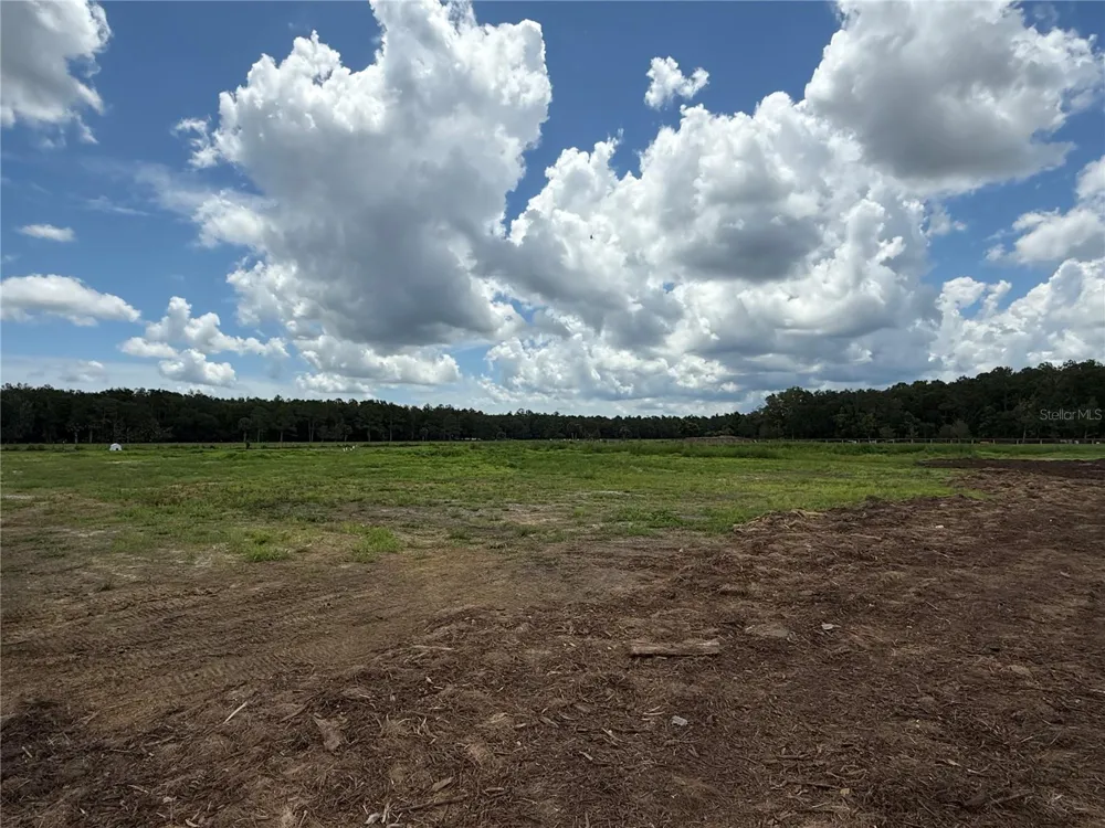 596 E COUNTY ROAD 90 Bunnell, FL 32110