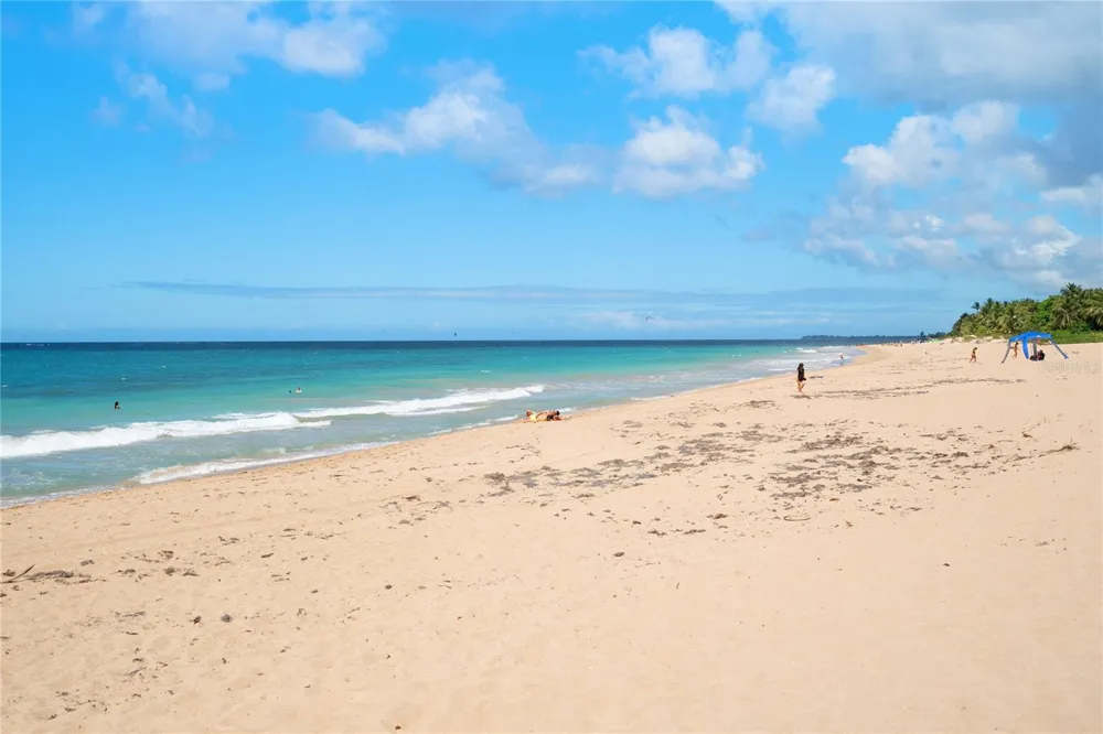61 KINGS COURT #5E San Juan, PR 00911