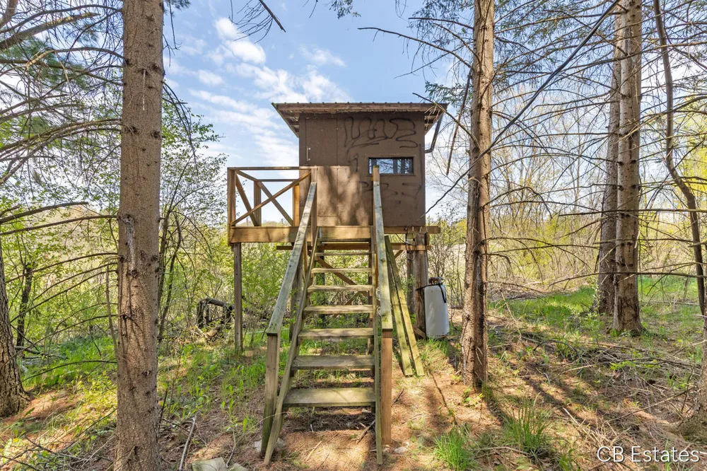 7147 6 Mile Road Norwich Township, MI 49307