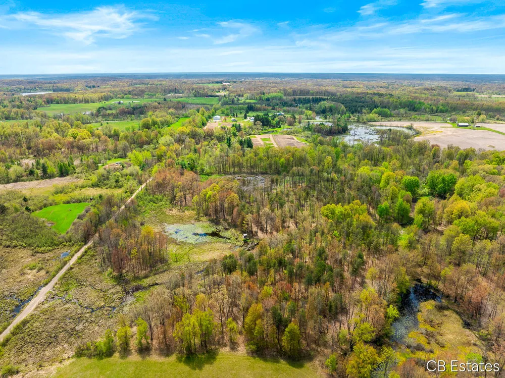7147 6 Mile Road Norwich Township, MI 49307