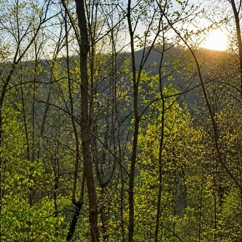 Lot 5 The Heights