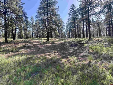 782 Hawks Meadow Drive