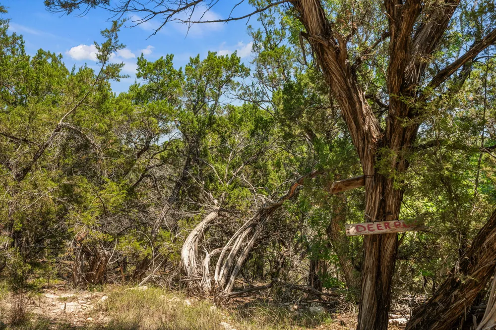 6925 White Hills Lane Marble Falls, TX 78654
