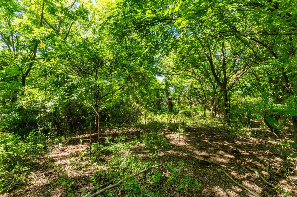 Highway 82 #623.3 Ringgold, TX 76261