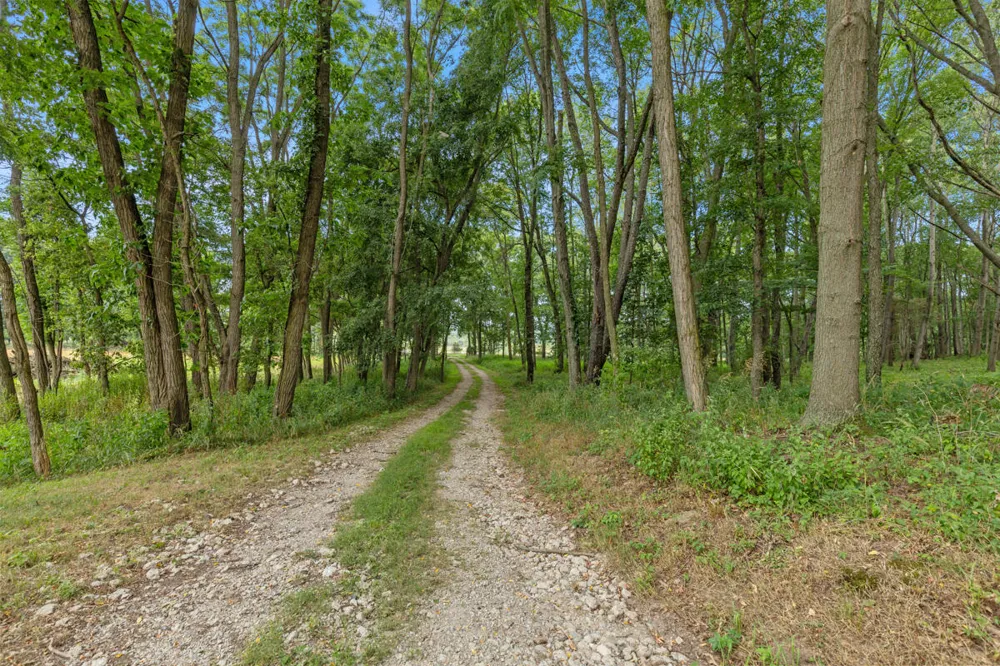 781 Hopkins Road Lyons, MI 48851