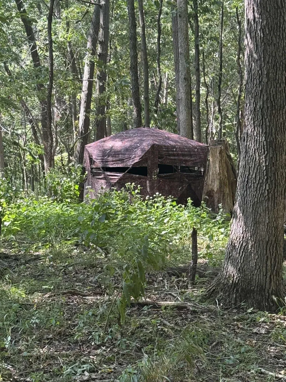 781 Hopkins Road Lyons, MI 48851