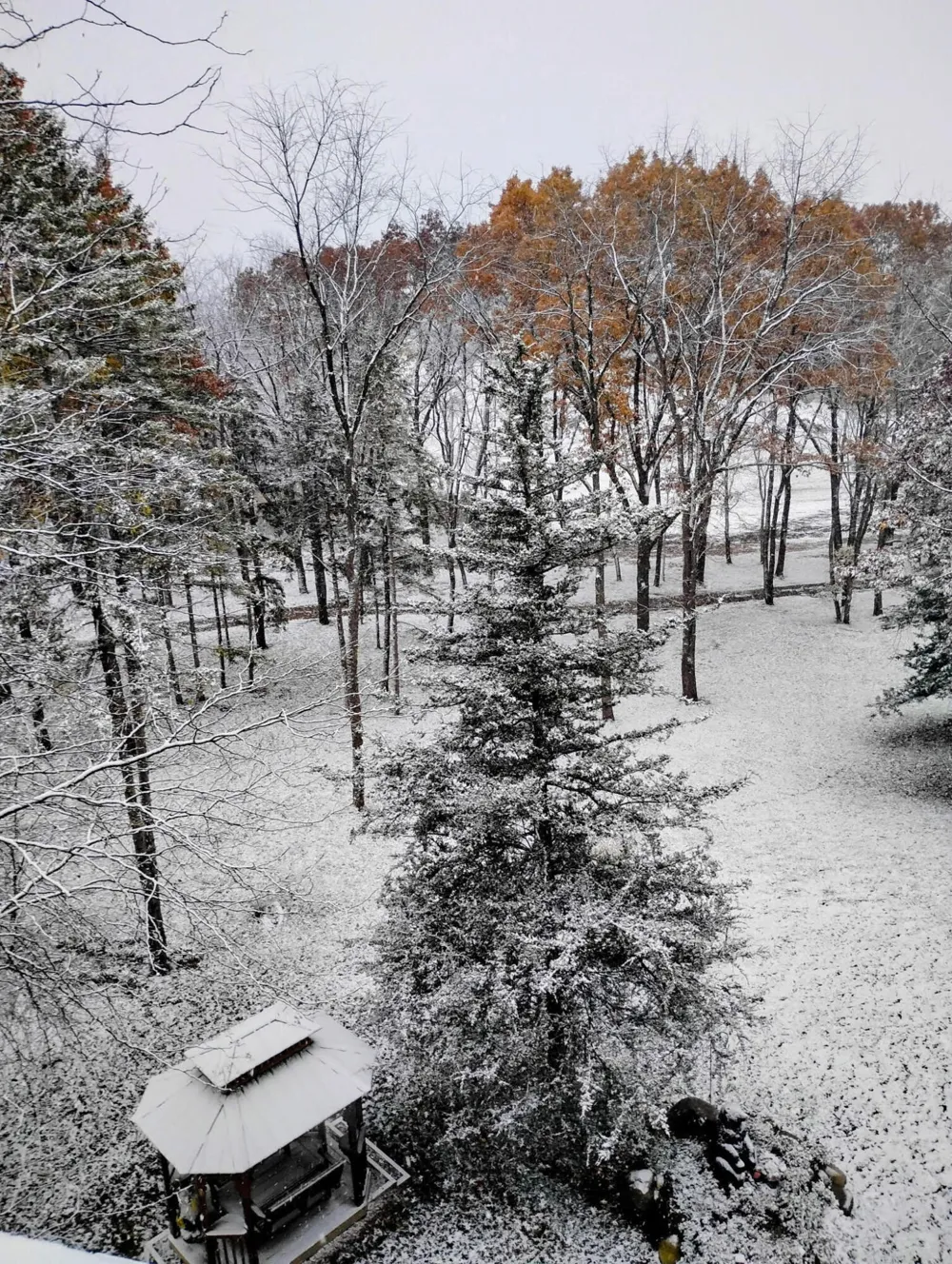 781 Hopkins Road Lyons, MI 48851