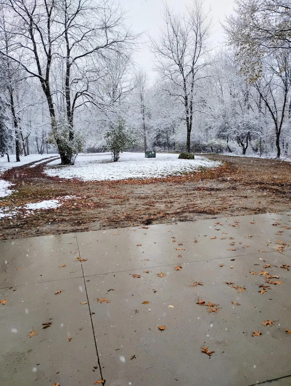 781 Hopkins Road Lyons, MI 48851