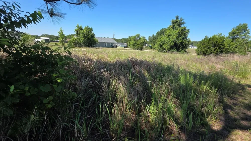 SW 149TH TERRACE ocala, FL 34481