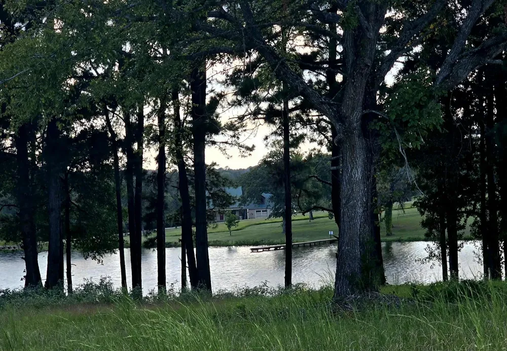 14244 Caddo Creek Circle Larue, TX 75770