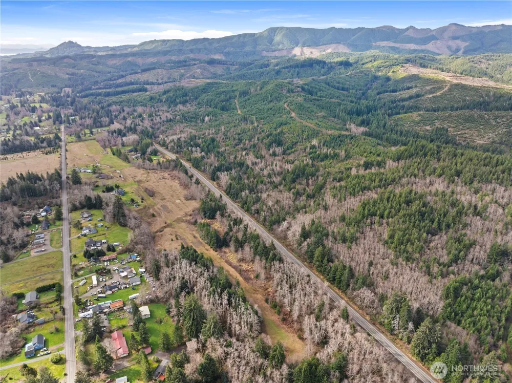 17 xx SR 401 Naselle, WA 98638