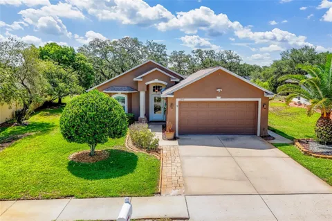 13253 GOLF RIDGE PLACE