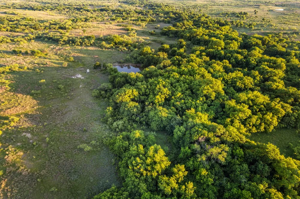 794 HWY 82 Montague, TX 76261