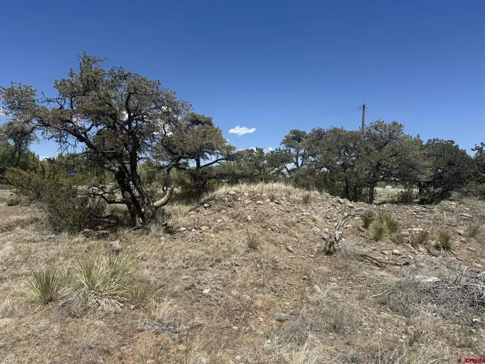 Kiowa Trail South Fork, CO 81154